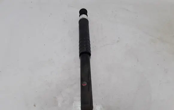 Renault Zoe Rear shock absorber/damper 562108289R
