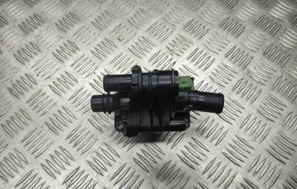 Thermostat/thermostat housing
