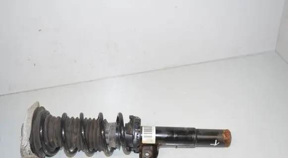 BMW i3 Front shock absorber with coil spring 6880097 31316880097 31316852215