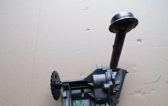 Renault Kangoo II Oil pump 8200307174