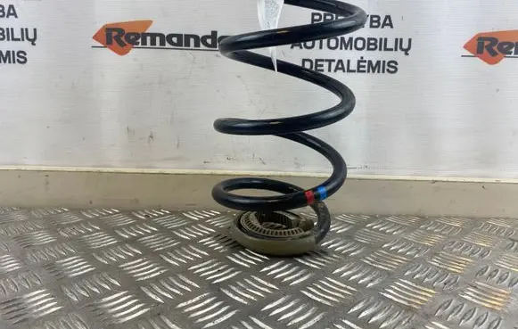 Renault Modus Rear coil spring