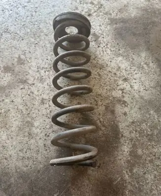 Rear coil spring