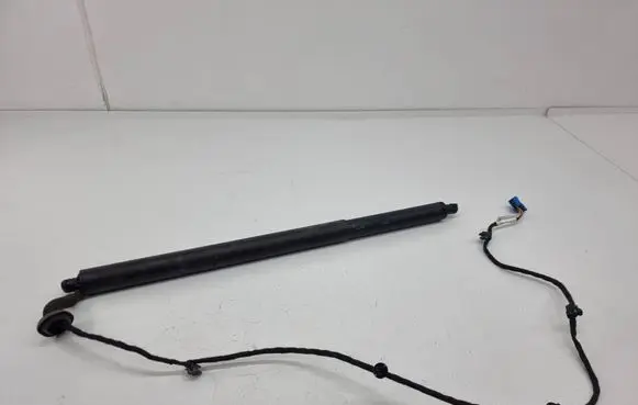 Tailgate strut