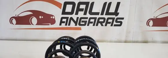 Rear coil spring