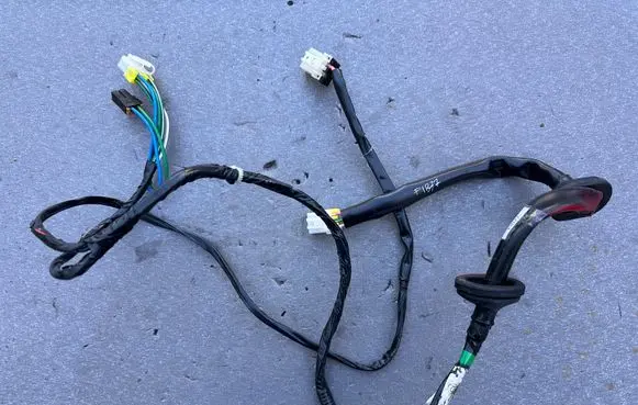 Rear door wiring loom
