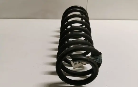 Ford Mustang V Rear coil spring BR335560AB