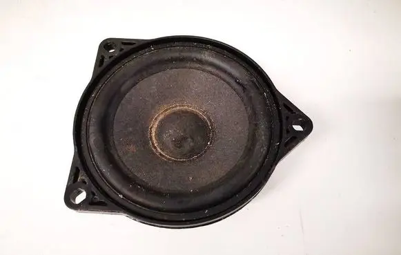 Tesla Model 3 Front door speaker 107974200C