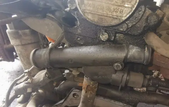 Seat Cordoba (6K) Engine coolant pipe/hose 038121133