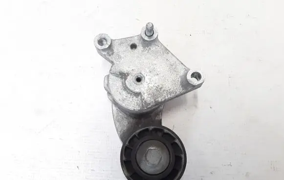 Volvo V70 Timing belt/chain tensioner 846143