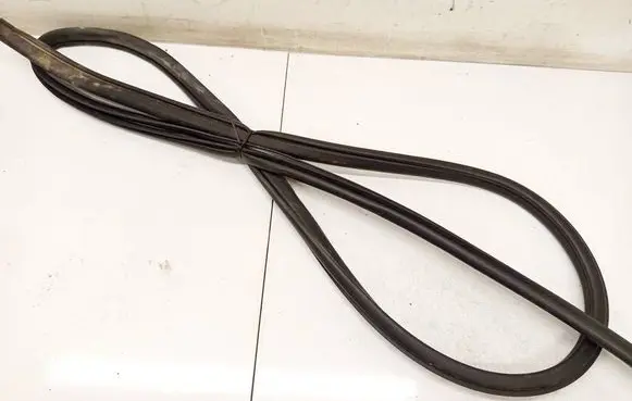 Nissan X-Trail T30 Rubber seal front coupe door