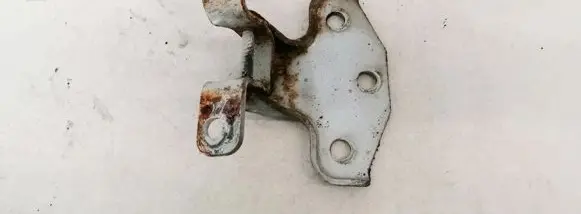 KIA Carnival Front door upper hinge