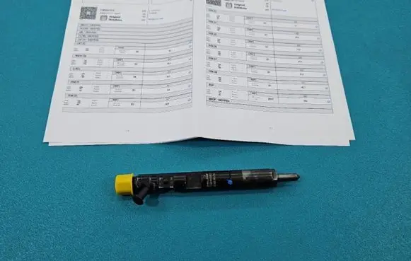 Renault Megane II Fuel injector EJBR04101D IMPRK1439349