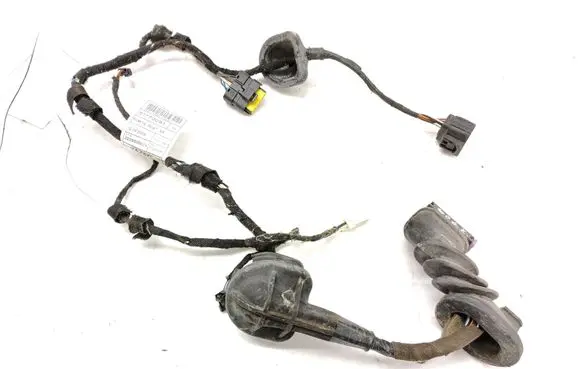 Rear door wiring loom