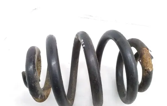 Rear coil spring