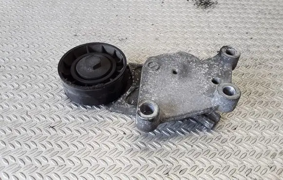 Citroen C3 Generator/alternator belt tensioner