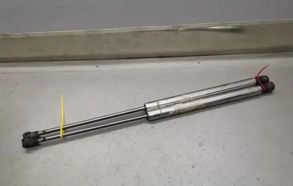 Tailgate/trunk strut/damper
