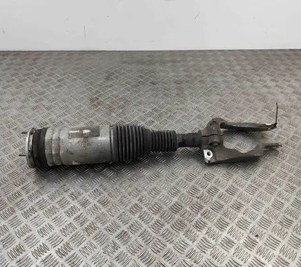 Land Rover Range Rover Sport L494 Air suspension front shock absorber DPLA3C286BH