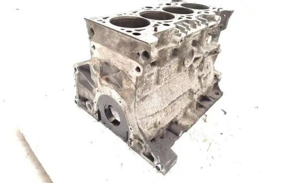 Volkswagen Golf V Engine block BLX
