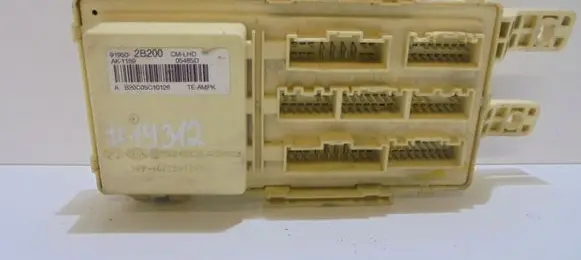 Hyundai Santa Fe Fuse module 919502B200