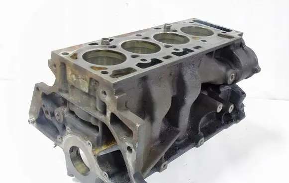 Ford Fiesta Engine block 1N2G-6015AE