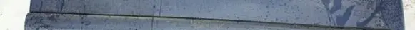 Citroen C3 Front door trim (molding) 