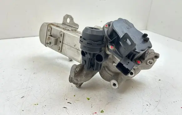 EGR valve