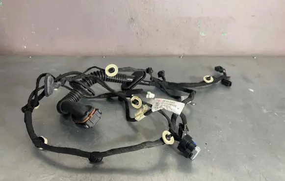 Renault Captur II Other wiring loom 241252004R A10000