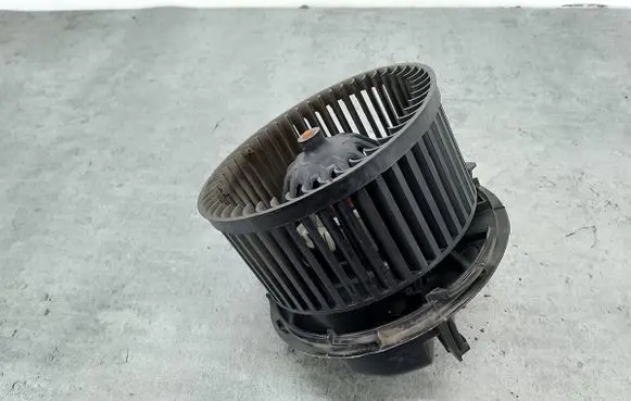 Dacia Duster Heater fan/blower N101507G