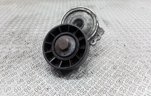 Peugeot 607 Generator/alternator belt tensioner APV1028