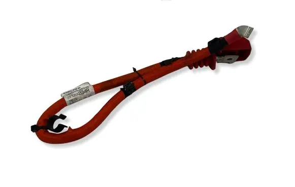 Renault Scenic IV - Grand scenic IV Positive cable (battery) 297D53834R 2970D53P34R