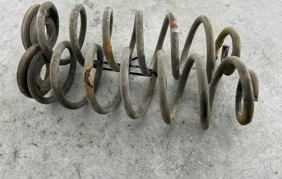 Volkswagen Golf Plus Rear coil spring