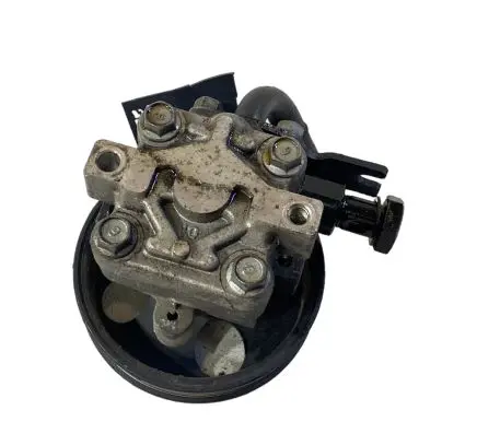 Hyundai Santa Fe Power steering pump