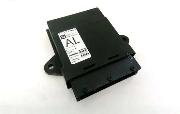 Opel Signum Other control units/modules 13111456 5WK46001