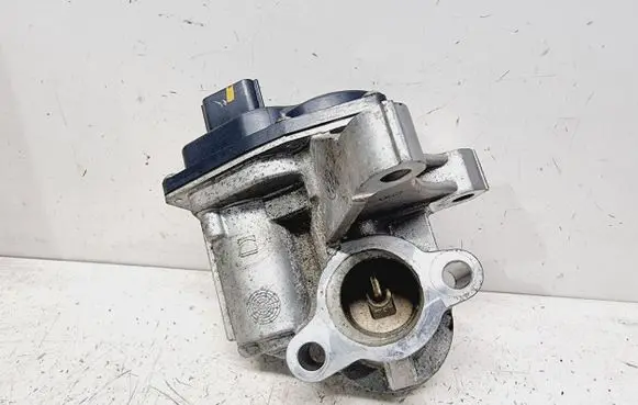 EGR valve