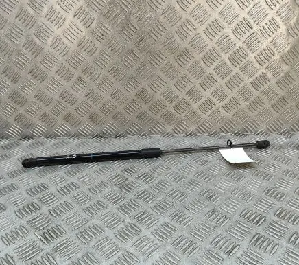 Tailgate/trunk strut/damper