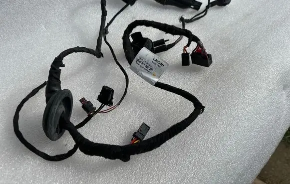 Rear door wiring loom