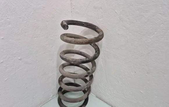 Opel Antara Rear coil spring 