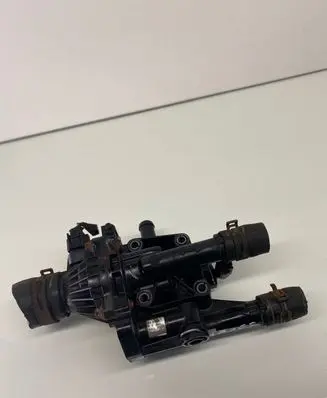 Thermostat/thermostat housing