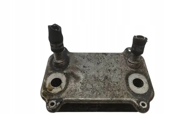 Porsche Cayenne (9PA) Engine oil radiator 