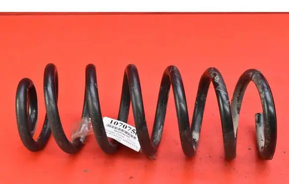 Hyundai Tucson JM Rear coil spring 