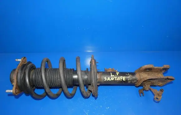 Hyundai Santa Fe Front shock absorber with coil spring