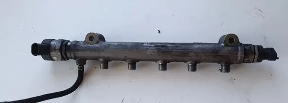 Hyundai Santa Fe Fuel distributor 
