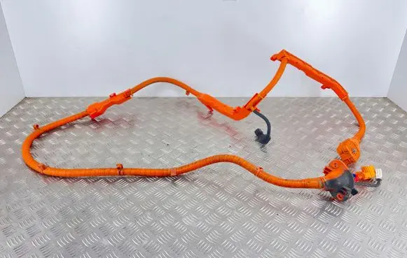 Hyundai Tucson IV NX4 Other wiring loom 91671CZ030