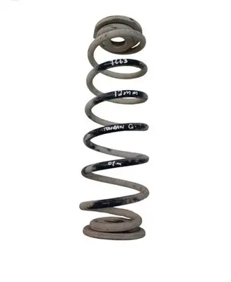 Rear coil spring