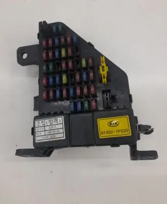 KIA Sportage Fuse module 919501F520