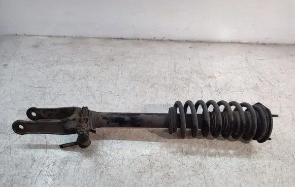 Mercedes-Benz R W251 Front shock absorber with coil spring