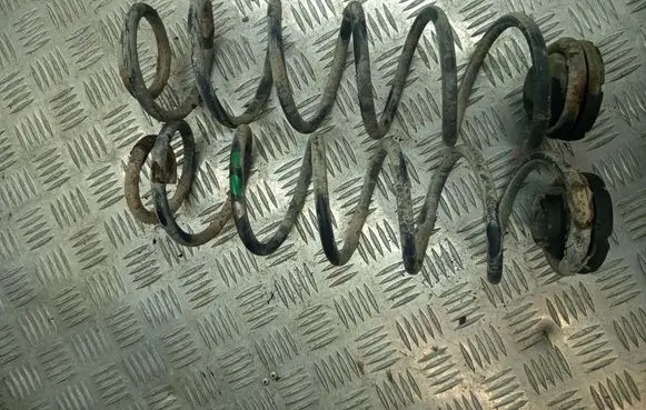 Volkswagen Golf IV Rear coil spring