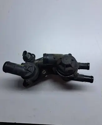 Thermostat/thermostat housing