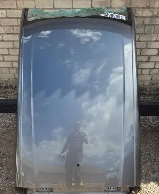 Nissan Ariya Roof