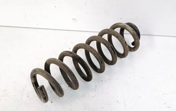 Opel Insignia B Rear coil spring